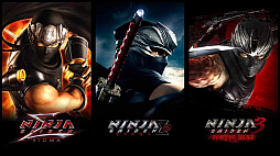 NINJA GAIDEN: ޥ쥯 Version D