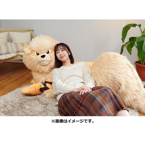画像集#005のサムネイル/添い寝ポーズ，1/2スケールのウインディ，その名も「ぬいぐるみ 添い寝ウインディ」の受注がポケモンセンターオンラインで本日開始