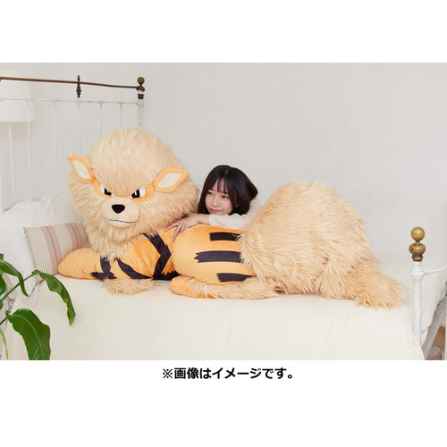 画像集#006のサムネイル/添い寝ポーズ，1/2スケールのウインディ，その名も「ぬいぐるみ 添い寝ウインディ」の受注がポケモンセンターオンラインで本日開始
