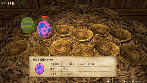 画像集#028のサムネイル/「モンスターハンターストーリーズ2　～破滅の翼～」の最新トレイラーが公開。主人公の共闘パートナー“アユリア”が登場