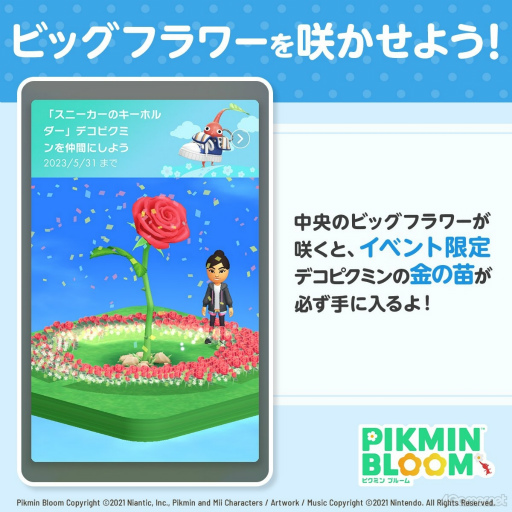 Υ󥿥ӥ塼ϥץ쥤䡼ԥߥ⤤2ǯ֤62555ʾ塪2ǯޤPikmin BloomפΤޤǤȤ줫