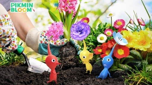 ԥߥ󤿤֤ǤäѤˤ褦Pikmin Bloomפǥǥˤʤ٥Ȥ