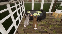 ���������꡼ No.005�Υ���ͥ������ / ����������������������Bunhouse�פ�2021ǯ9��˥�꡼����Kickstarter�ǥ��ȥ�å��������ã����������Switch�Ǥ��ۿ�ͽ��