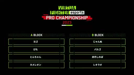 ץVIRTUA FIGHTER esports PRO CHAMPIONSHIP 2023פΥ饤ۿ319˼»