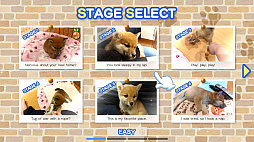 Shiba Mekuri �Ƥ᤯��