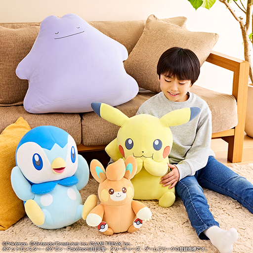 ݥΰ֤2024 Pokmon Collection  Welcome to the Pokmon House1122ȯ䡣ɥʤɤ