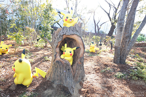 画像ギャラリー No.008のサムネイル画像 / 「ポケパーク カントー」ってどんなところ？　体験して分かった楽しさと，来園前に知っておきたいポイント