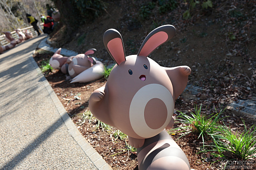 画像ギャラリー No.017のサムネイル画像 / 「ポケパーク カントー」ってどんなところ？　体験して分かった楽しさと，来園前に知っておきたいポイント