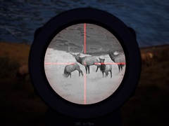 「Way of the Hunter」,追加DLC「Night Hunting Pack」販売開始。暗視タイプのツールを使って夜間の狩猟に挑戦しよう