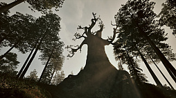 画像ギャラリー No.005のサムネイル画像 / 「Among the Trolls」,体験版を配信開始。フィンランド神話と古代シャーマンの魔法に満ちた世界を冒険するサバイバルアクションADV