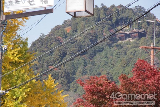 ꡼ No.001Υͥ / Ĭפȵż֤Υܤˤåԥż֤ԡ̼־˽Ǥ夰ߤо줷ˡͤݡ