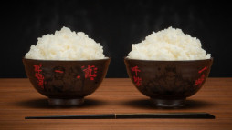 画像ギャラリー No.007のサムネイル画像 / 「スト6」，Tシャツと美濃焼の食器類からなる新作コレクション「Special Moves Collection」を発売。コラボ米「真豪鬼米2026」も登場