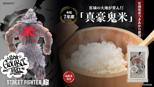 画像ギャラリー No.027のサムネイル画像 / 「スト6」,Tシャツと美濃焼の食器類からなる新作コレクション「Special Moves Collection」を発売。コラボ米「真豪鬼米2026」も登場