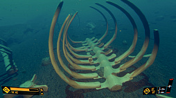 Deep Diving Adventures