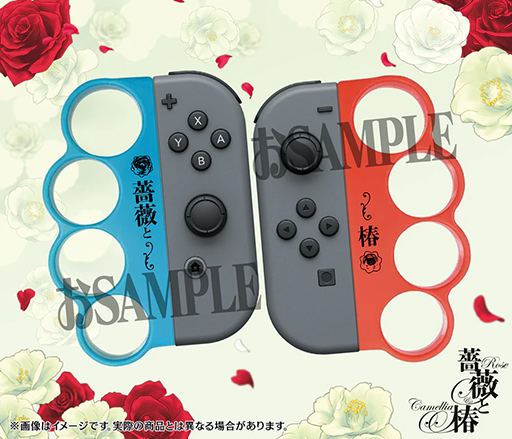 ӥ󥿤ϥ󤱡֡鯤ءѤӥ󥿤åסͽճϡNintendo SwitchJoy-ConѤΡȥܥ󥰡ɥå