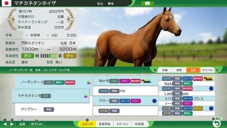 Winning Post 10׶Ϥξ󤬸ˡź쵳餬̾Ȥƻ