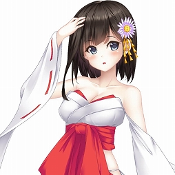 ���������꡼ No.007�Υ���ͥ������ / Switch�����Υ٥륲����ֺ�̲��������ǥ����ס�����۳����ס������ۿ�