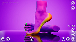 HAELE 3D - Feet Poser Pro