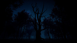 Slender: The Arrival