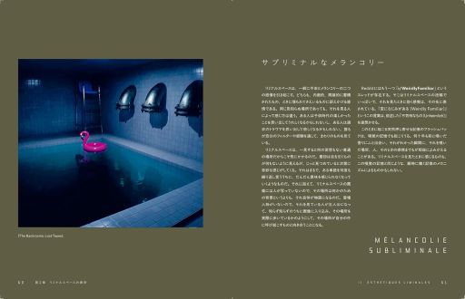 ���������꡼ No.009�Υ���ͥ������ / �ͥåȤ������ޤ줿�ǿ��ζ��ݤθ�ή��é��֥�ߥʥ륹�ڡ��� ���������ݤ����ءסʥ����ޡ��Τ���Υ֥å������ɡ���53���