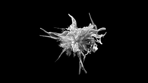 画像ギャラリー No.040のサムネイル画像 / Sam Barlow氏の新作も。Kinetic Publishingが第1弾5タイトルを発表したオンラインショーケース&合同インタビューをレポート