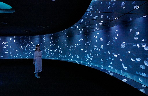 画像ギャラリー No.011のサムネイル画像 / 「アクアリウムは踊らない」×「サンシャイン水族館」コラボ第2弾が6月12日にスタート。夜の水族館で，没入感ある謎解きを楽しめる