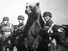 Steamで“非常に好評”な「Sumerian Six」の登場キャラのモデルは，第二次世界大戦に従軍した実在のクマ!?