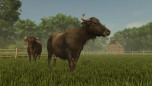 ꡼ No.009Υͥ / Farming Simulator 25סƥĳĥѥåPlains & Prairies Packפ63ۿ꡼оFord2Υǥɲ