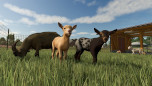 ꡼ No.010Υͥ / Farming Simulator 25סƥĳĥѥåPlains & Prairies Packפ63ۿ꡼оFord2Υǥɲ