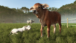 画像ギャラリー No.009のサムネイル画像 / 「Farming Simulator 25」，コンテンツ拡張パック「Beans & Alpacas」のゲームプレイ映像を初公開