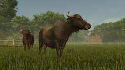 画像ギャラリー No.009のサムネイル画像 / 「Farming Simulator 25」，無料DLC「Pumps N' Hoses Pack」を配信