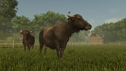画像ギャラリー No.008のサムネイル画像 / 「Farming Simulator 25」，無料コンテンツアップデート第7弾を配信
