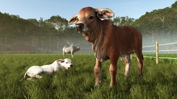 画像ギャラリー No.009のサムネイル画像 / 「Farming Simulator 25」，コンテンツ拡張パック「Beans & Alpacas」の家屋とオブジェクトの情報を公開