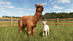 画像ギャラリー No.006のサムネイル画像 / 「Farming Simulator 25」，新DLC「Beans & Alpacas」が登場