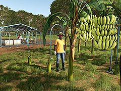 「Farming Simulator 25」，新DLC「Beans & Alpacas」が登場