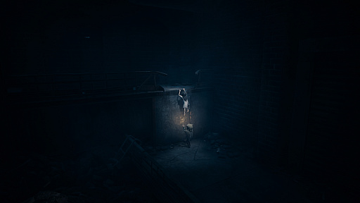 画像ギャラリー No.006のサムネイル画像 / ［プレイレポ］ホラーアクションADV「REANIMAL」，マスクを被った兄妹が，恐ろしい島からの脱出を目指す。ローカルやオンラインでの協力プレイにも対応