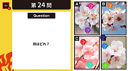 ߤʤǥХȥ롪8PＱϥƥȡߤʤͷ٤դ4ؽ說