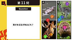 ߤʤǥХȥ롪8PＱϥƥȡߤʤͷ٤դ4ؽ說
