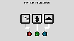 What is in the Black Box?