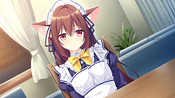 ꡼ No.005 | D.C. Re:tune ݡ 塼