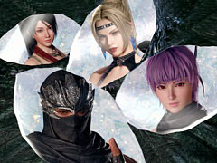 ̵ХӥסNINJA GAIDENץ꡼ꡤ奦ϥ֥͡쥤롤դ