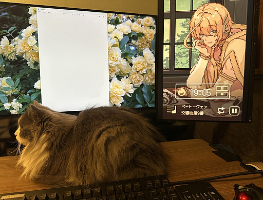 画像ギャラリー No.049のサムネイル画像 / ［プレイレポ］擬人化したクラシック音楽があなたを見守る「アヴェ・クラシック」は作業ツールの皮を被った本格乙女向け作品だった