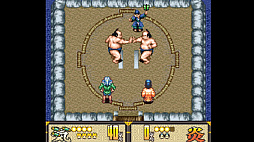 Feudal Bros - Tonosama