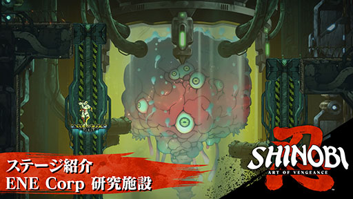 ꡼ No.006Υͥ / SHINOBI λ·DLC󤬸ˡ֥  ơפǤϼΡŷͲʳؼԡDr.åޥפܥ1ͤȤƻ