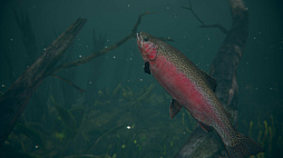 ꡼ No.001 | Ultimate Fishing Simulator 2
