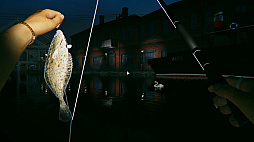 ꡼ No.019 | Ultimate Fishing Simulator 2