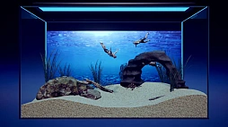 ޥꥦ -Muscle Aquarium Simulator-