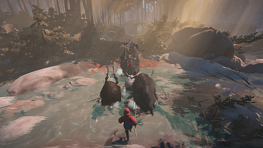 ���������꡼ No.011�Υ���ͥ������ / 2025ǯ�ϡ��ʤ����Ȼ��Ф�ʲ���˥����ɤ��������ꤷ���Τǡ��͵������ꡤ�ۿ���6����ý���������2026ǯ�ϡġ�!?