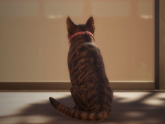 「近畿地方のある場所について」著者がシナリオを手掛ける,猫が主人公のホラーゲーム「まだ猫は逃げますか?」,10月27日に発売