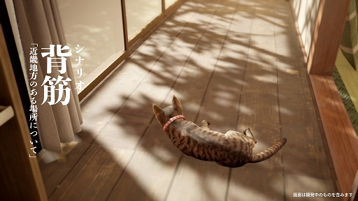 ꡼ No.002Υͥ / ǭȤʤäƸ̱Ȥõޤޤο롣֤ޤǭƨޤסSteam꡼